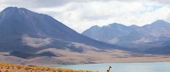 Just another picture